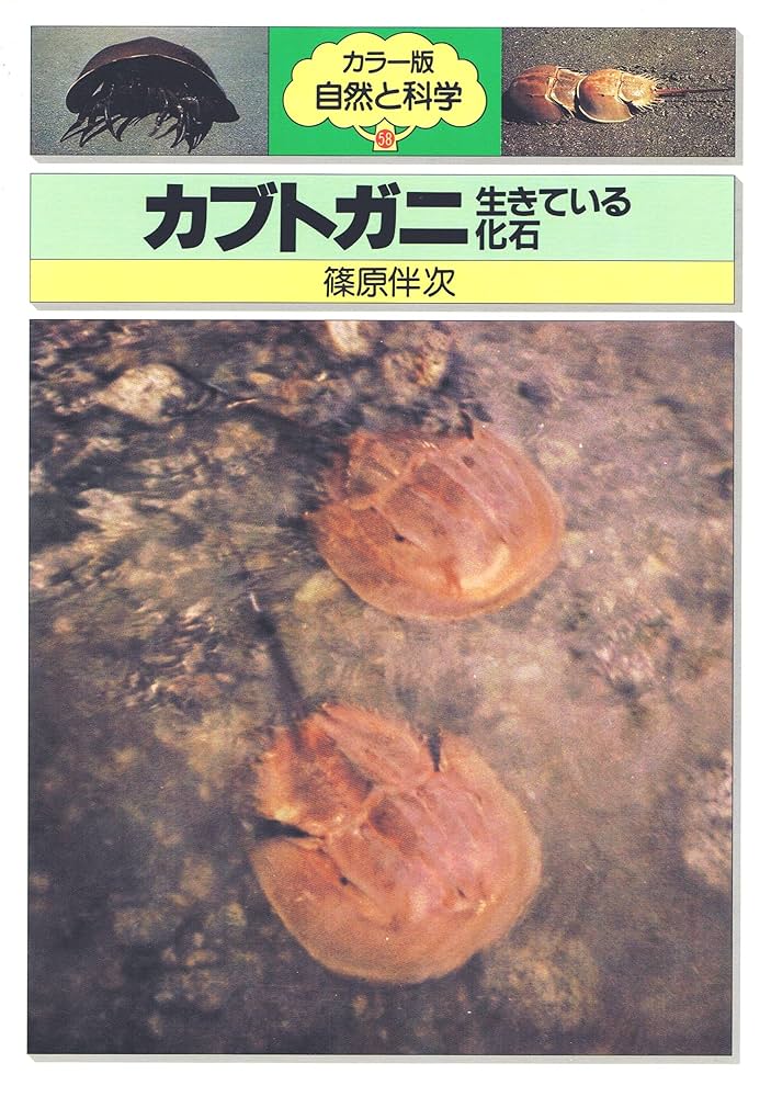 カブトガニ: 生きている化石 (カラー版自然と科学 58) | 篠原 伴
